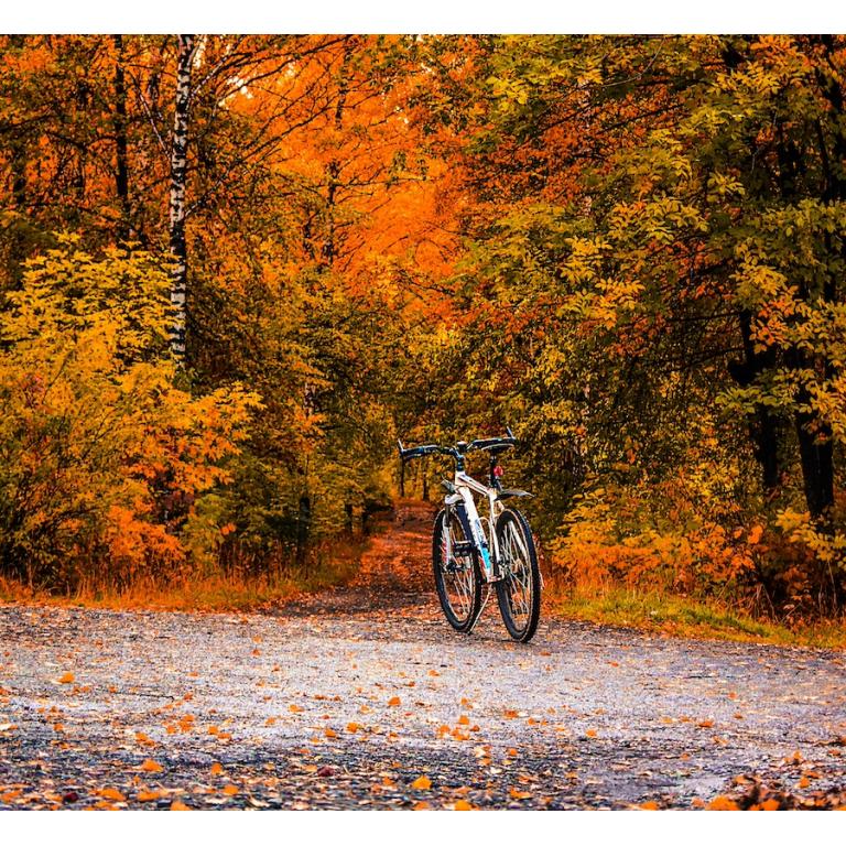 Cykel Tum Kille Jarla Cykel