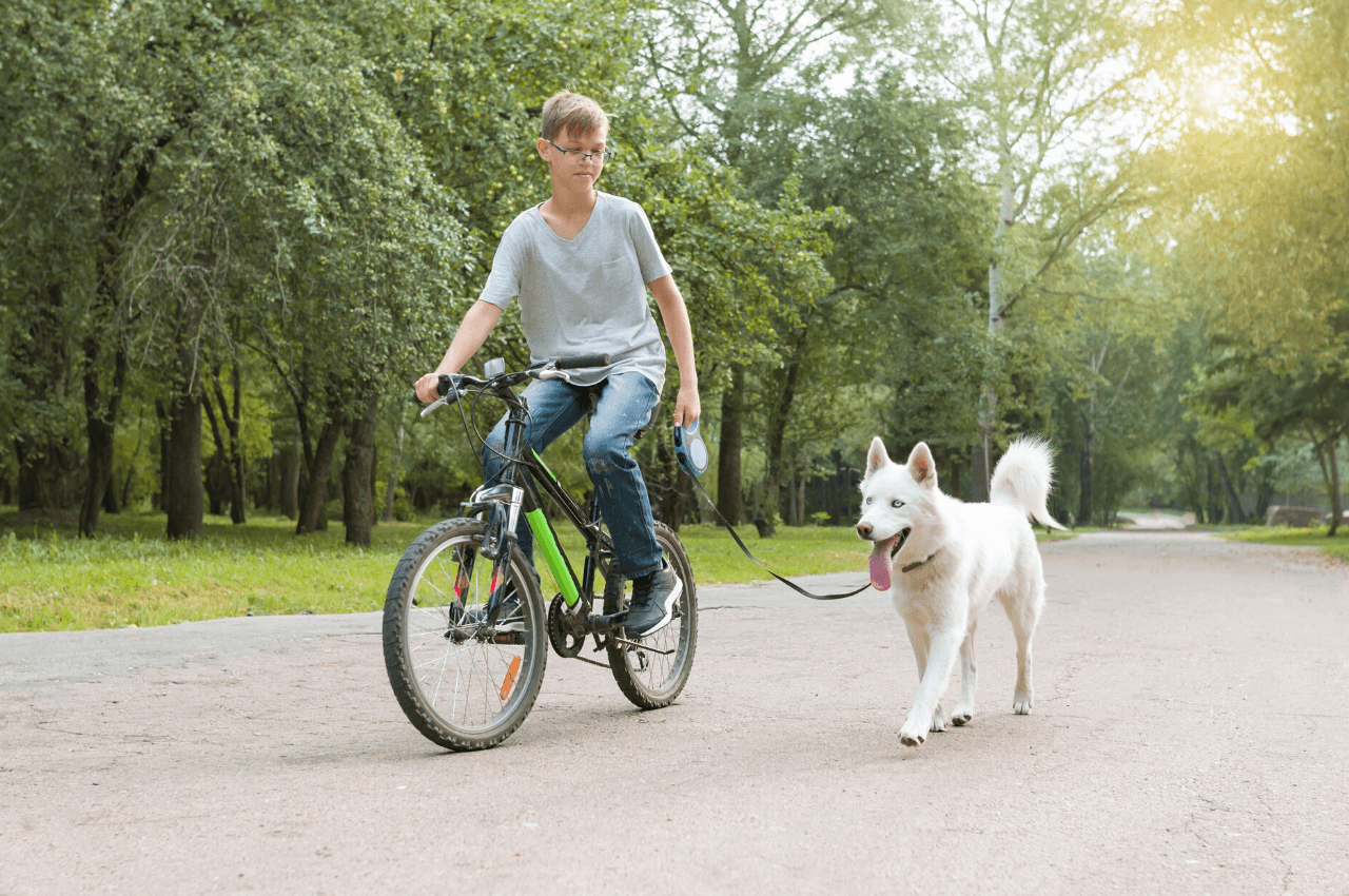 Cykla med hund