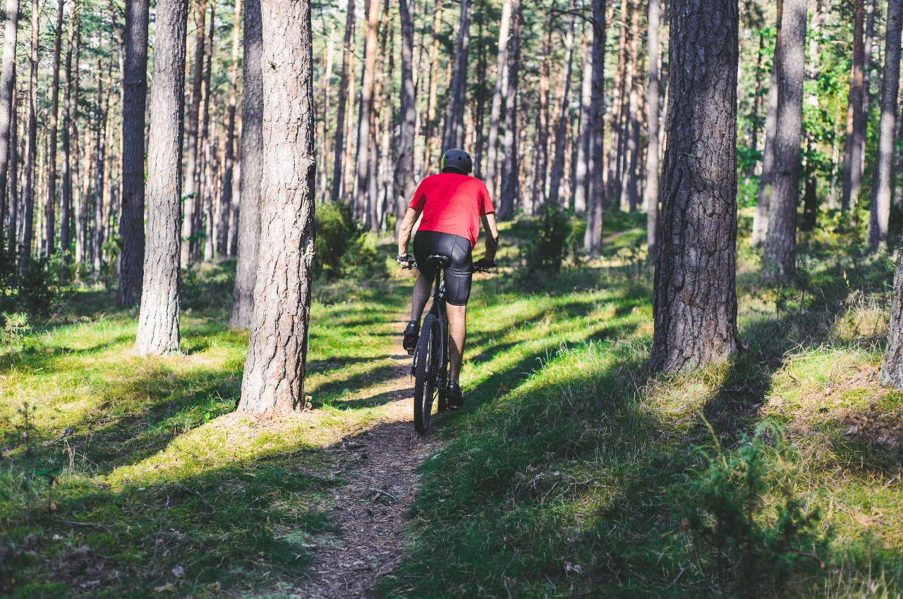 Cykla i skogen vilken cykel