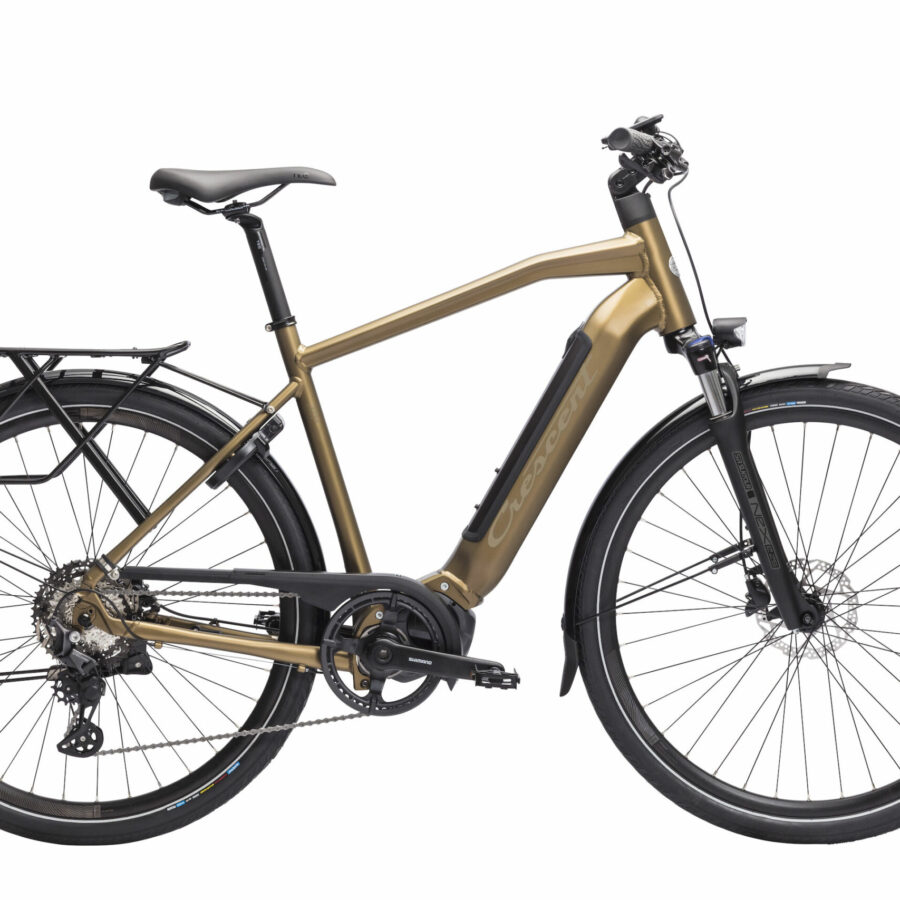 Crescent Elder 20, 10-vxl