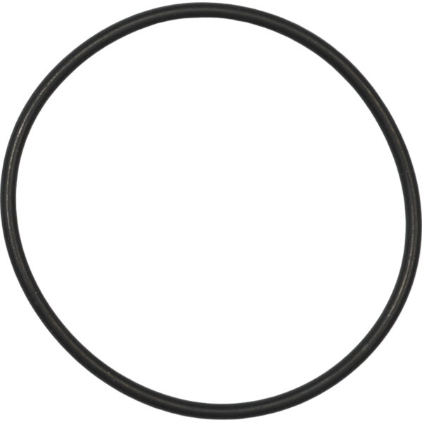 Bosch O-Ring